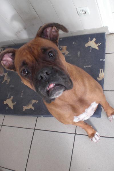 ma grosse !!